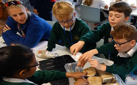 Primary science hands-on activity